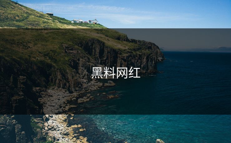 黑料网红 黑料网红