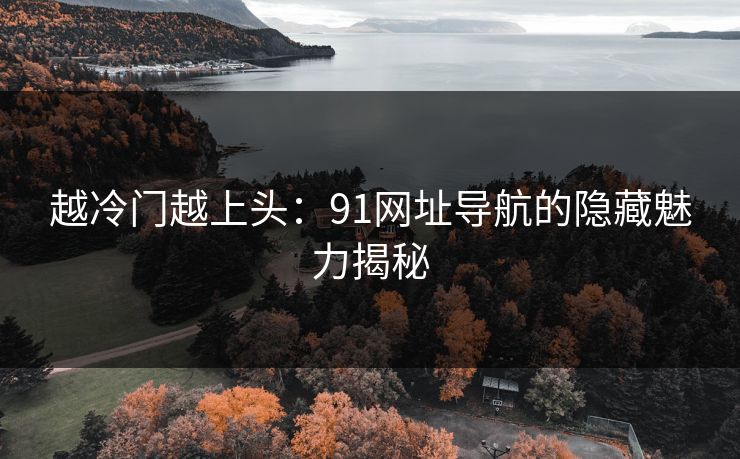 越冷门越上头：91网址导航的隐藏魅力揭秘
