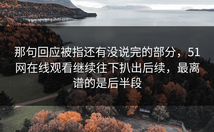 那句回应被指还有没说完的部分，51网在线观看继续往下扒出后续，最离谱的是后半段